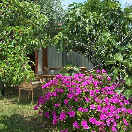 Hotel Club Ragno D'Oro Olbia Tempio Eksteriør billede