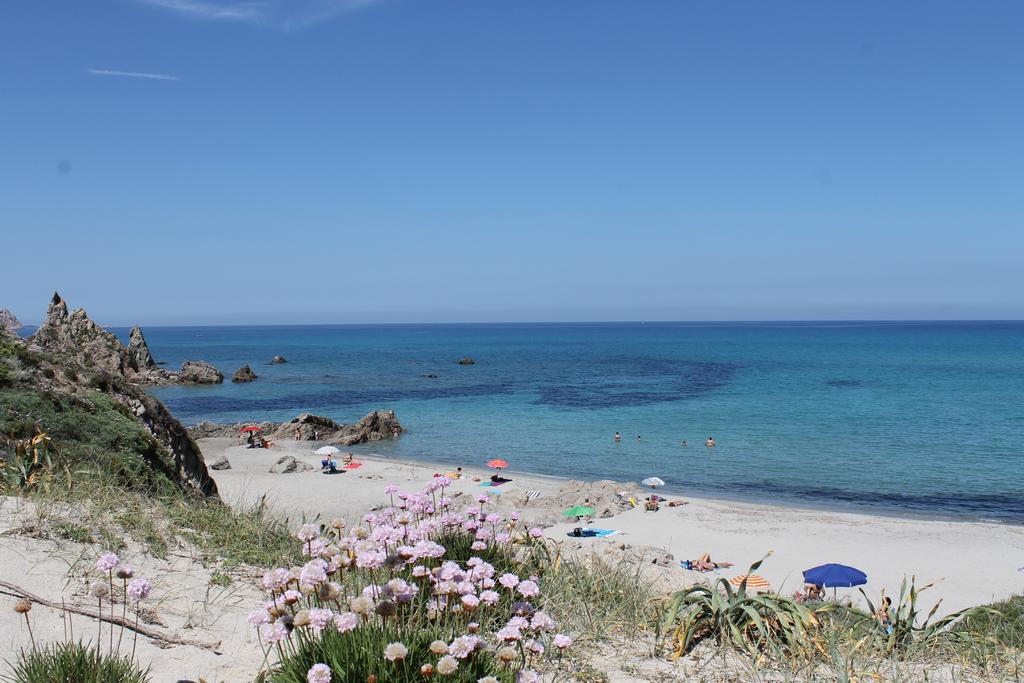 Hotel Club Ragno D'Oro Olbia Tempio Eksteriør billede