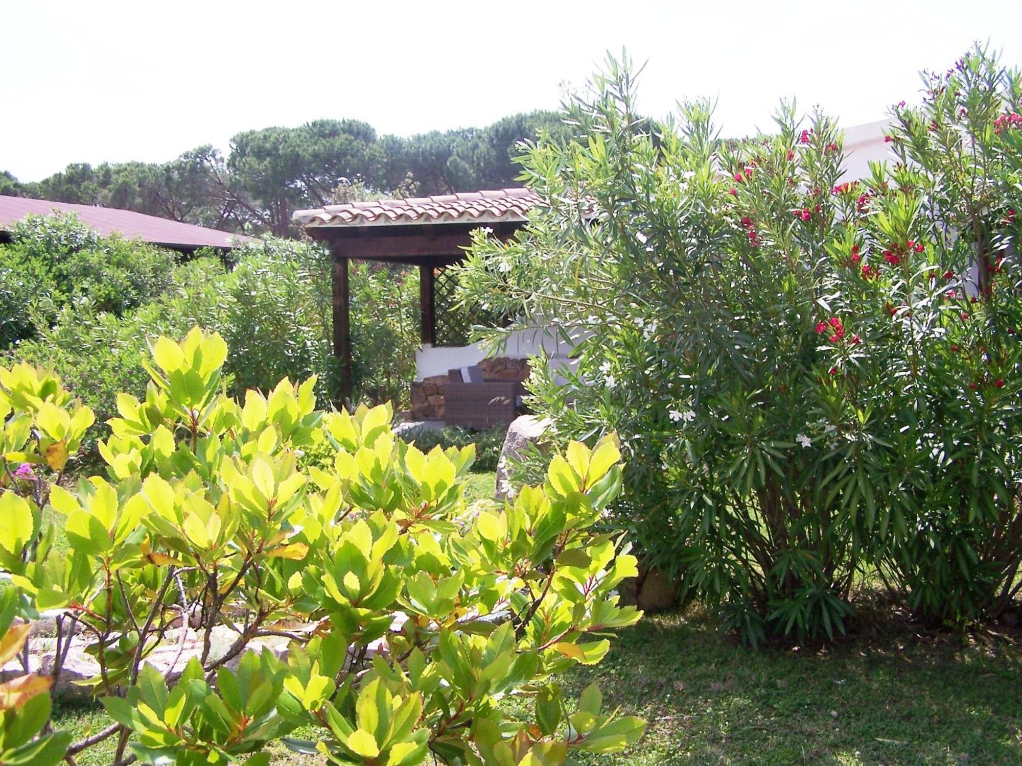 Hotel Club Ragno D'Oro Olbia Tempio Eksteriør billede