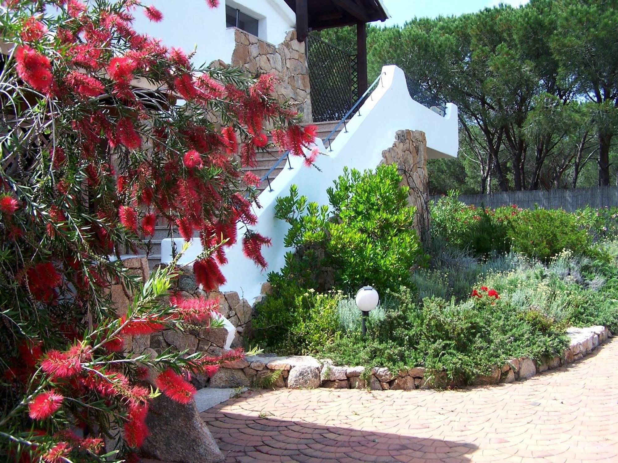 Hotel Club Ragno D'Oro Olbia Tempio Eksteriør billede