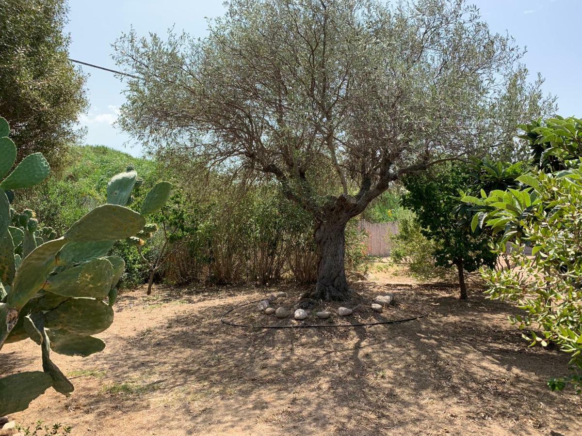 Hotel Club Ragno D'Oro Olbia Tempio Eksteriør billede