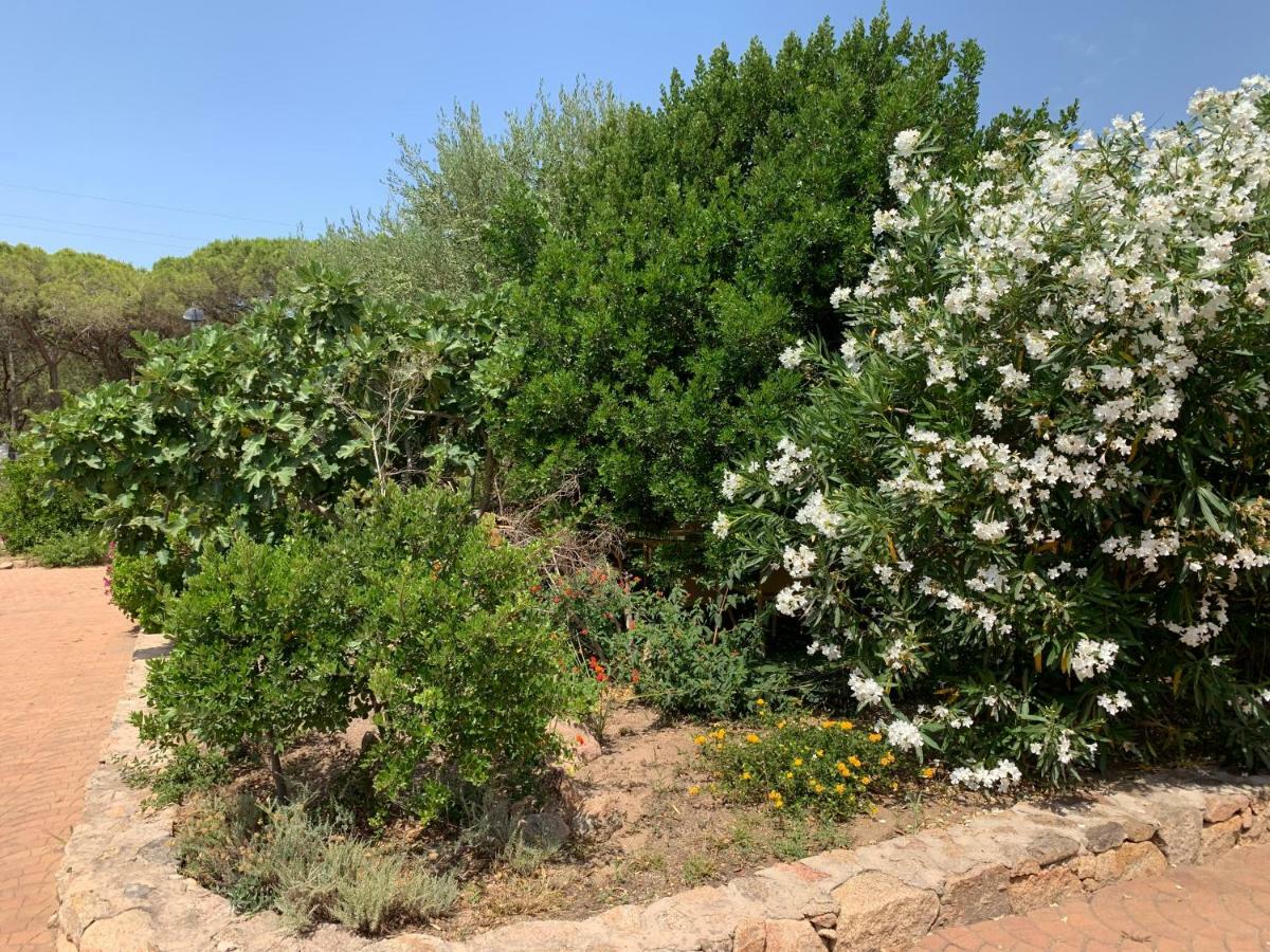 Hotel Club Ragno D'Oro Olbia Tempio Eksteriør billede